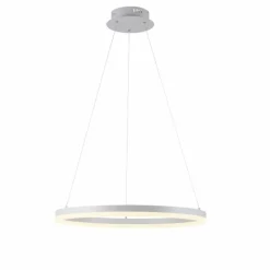 Suspension Paul-Neuhaus TITUS LED Blanc, 1 lumière