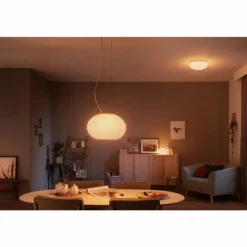 Suspension Philips Hue Ambiance White & Color Flourish LED Blanc, 1 lumière, Changeur de couleurs
