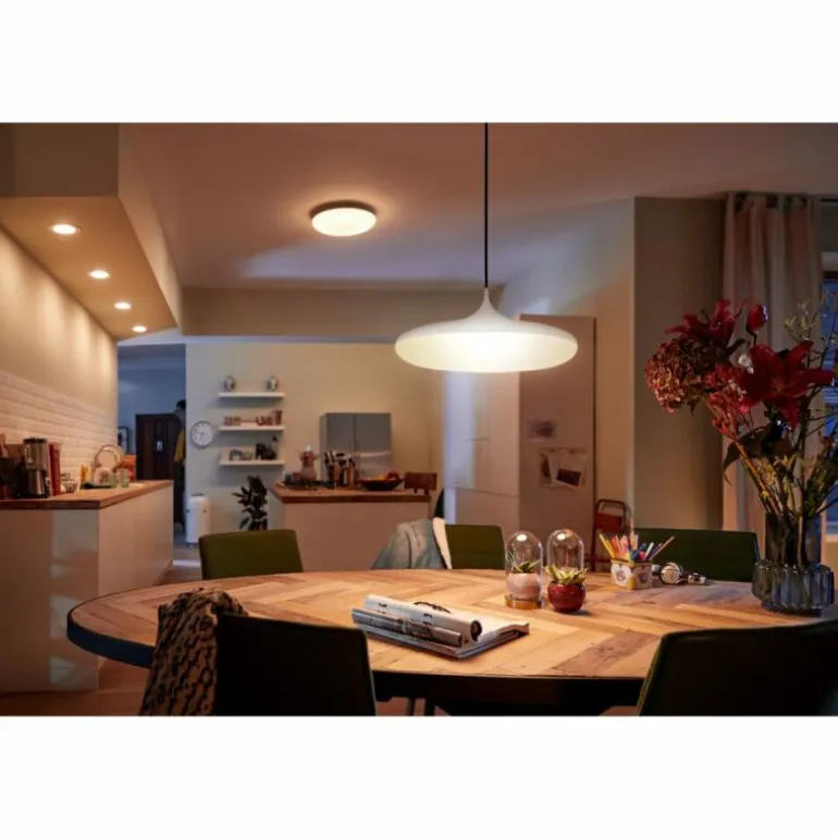 Suspension Philips Hue Cher LED Blanc, 1 lumière, Télécommandes