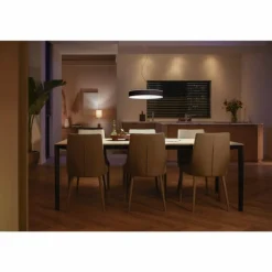Suspension Philips Hue Enrave LED Noir, 1 lumière, Télécommandes
