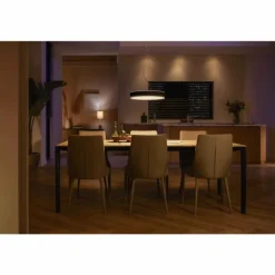 Suspension Philips Hue Enrave LED Noir, 1 lumière, Télécommandes