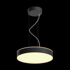 Suspension Philips Hue Enrave LED Noir, 1 lumière, Télécommandes
