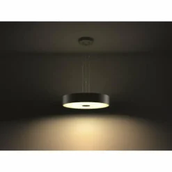 Suspension Philips Hue Fair LED Noir, 1 lumière, Télécommandes