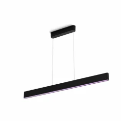Suspension Philips Hue White & Color Ambiance Ensis LED Noir, 2 lumières, Changeur de couleurs