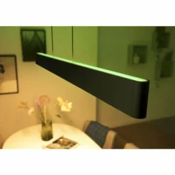 Suspension Philips Hue White & Color Ambiance Ensis LED Noir, 2 lumières, Changeur de couleurs