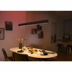 Suspension Philips Hue White & Color Ambiance Ensis LED Noir, 2 lumières, Changeur de couleurs