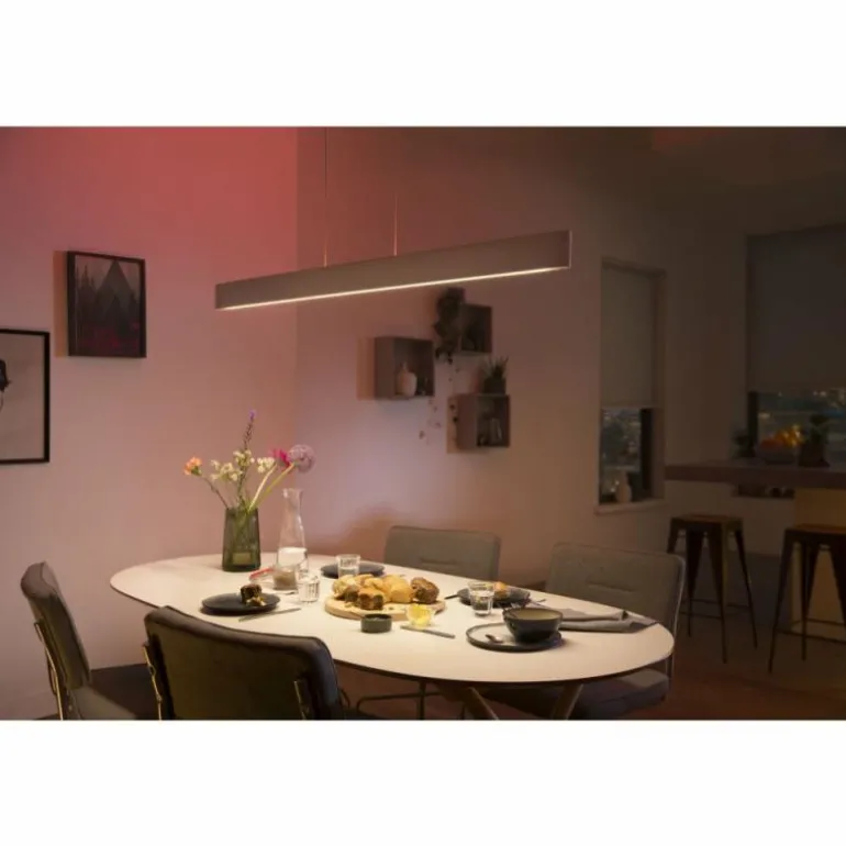 Suspension Philips Hue White & Colour Ambiance Ensis LED Blanc, 2 lumières, Changeur de couleurs