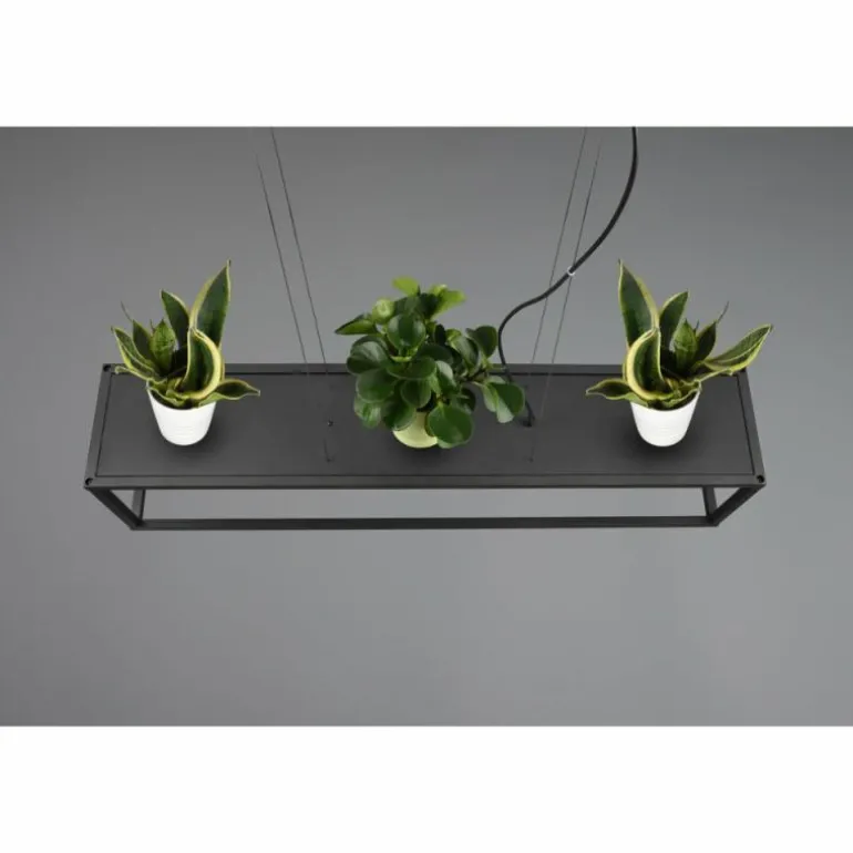 Suspension Reality Vito Noir, 4 lumières