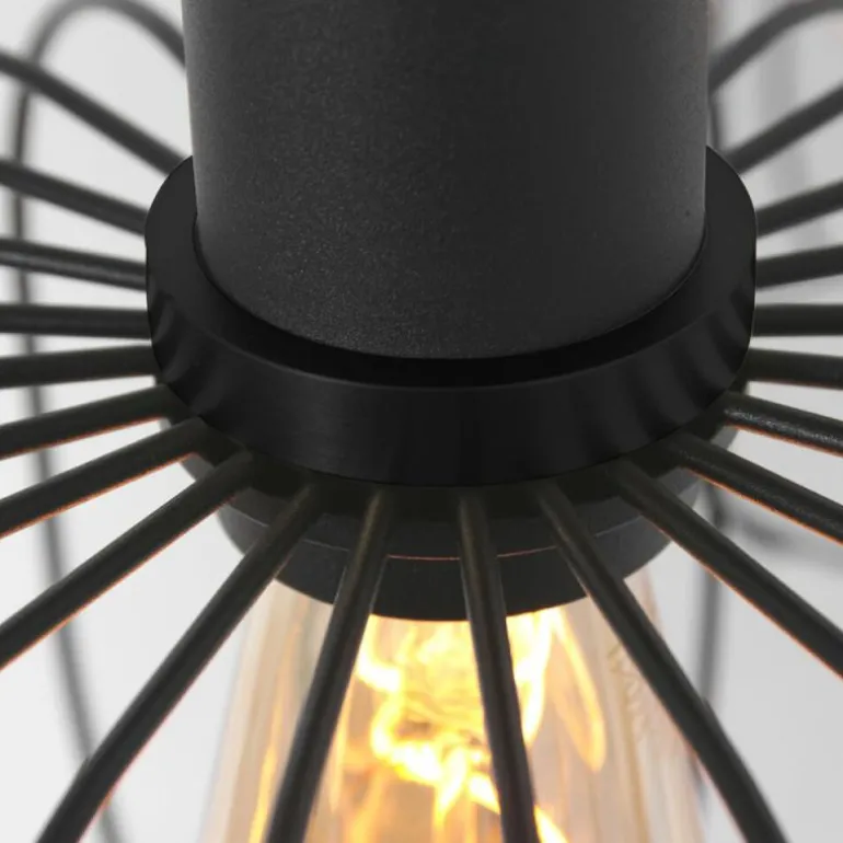 Suspension Steinhauer Aureole Noir, 6 lumières