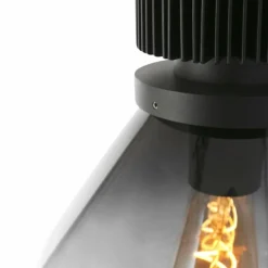 Suspension Steinhauer Flere Gris, Noir, 1 lumière