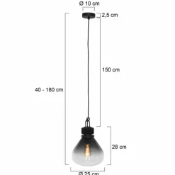 Suspension Steinhauer Flere Gris, Noir, 1 lumière