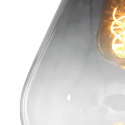 Suspension Steinhauer Flere Gris, Noir, 1 lumière