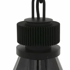 Suspension Steinhauer Flere Gris, Noir, 1 lumière