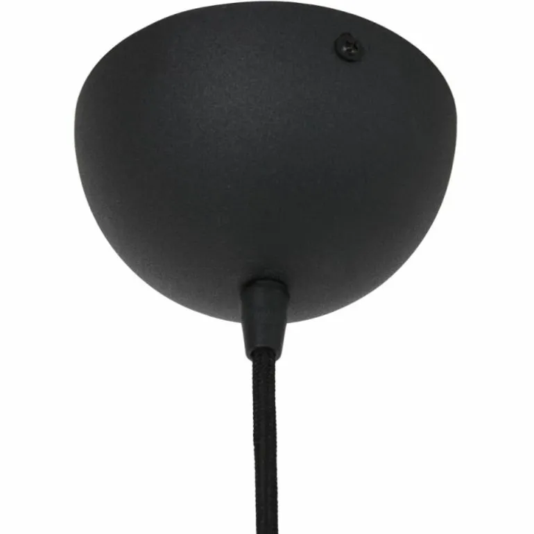 Suspension Steinhauer Lotus Noir, 1 lumière