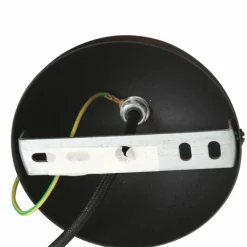 Suspension Steinhauer Lotus Noir, 1 lumière