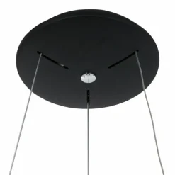 Suspension Steinhauer Ringlede Noir, Blanc, 1 lumière