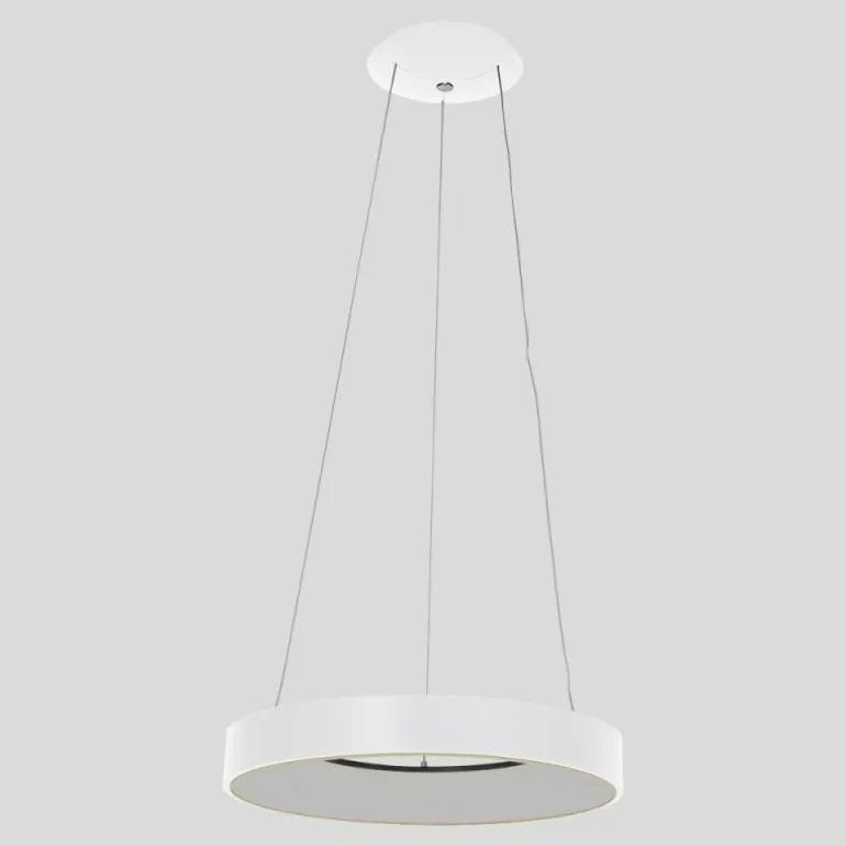 Suspension Steinhauer Ringlede Blanc, 1 lumière