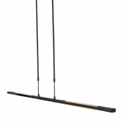 Suspension Steinhauer Zelena LED Noir, 1 lumière