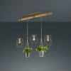 Suspension Trio Plant LED Brun foncé, Nickel mat, 3 lumières
