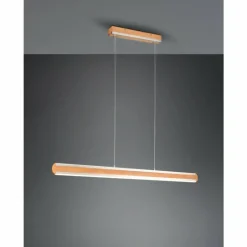 Suspension Trio-Leuchten Deacon LED Brun, 1 lumière