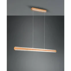Suspension Trio-Leuchten Deacon LED Brun, 1 lumière