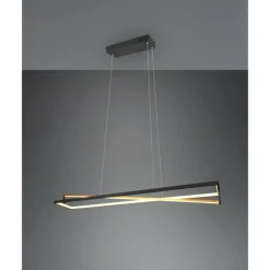 Suspension Trio-Leuchten Edge LED Noir, 1 lumière