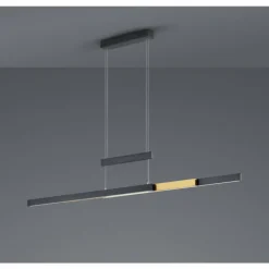 Suspension Trio-Leuchten Trajan LED Noir, 1 lumière