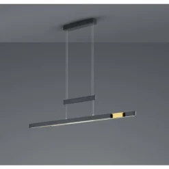 Suspension Trio-Leuchten Trajan LED Noir, 1 lumière