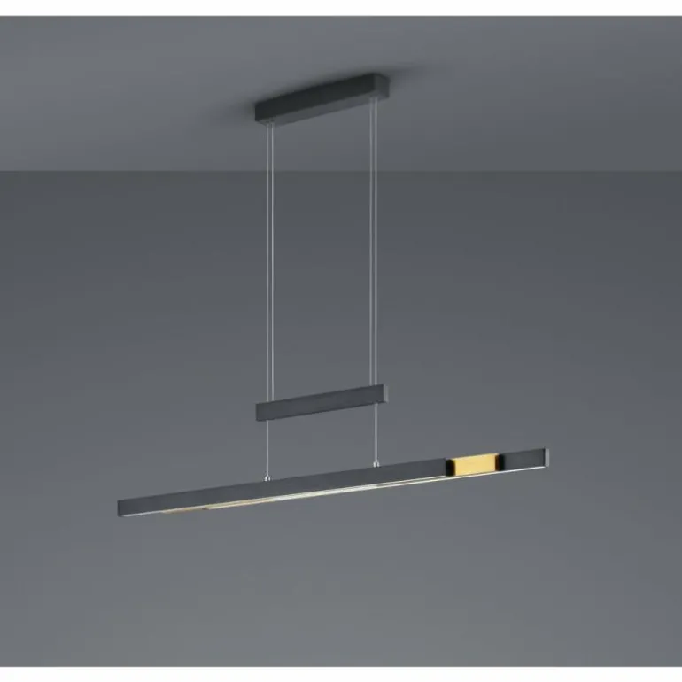 Suspension Trio-Leuchten Trajan LED Noir, 1 lumière