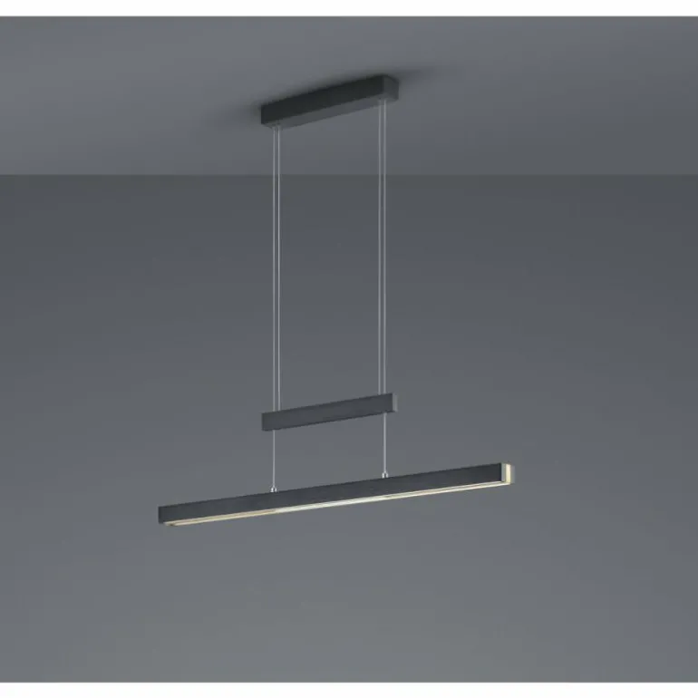 Suspension Trio-Leuchten Trajan LED Noir, 1 lumière