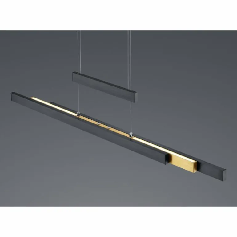 Suspension Trio-Leuchten Trajan LED Noir, 1 lumière