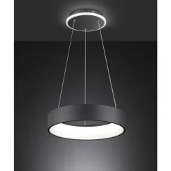 Suspension Wofi-Leuchten SHAY LED Noir, 1 lumière