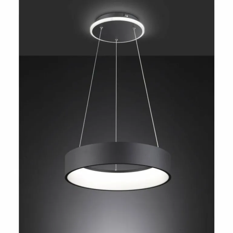 Suspension Wofi-Leuchten SHAY LED Noir, 1 lumière