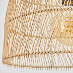 Suspension Zofingen Noir, 1 lumière