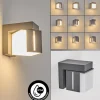 Swanek Lampe murale d´extérieur, Applique murale LED Anthracite, 1 lumière