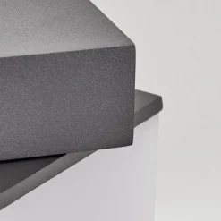 Swanek Lampe murale d´extérieur, Applique murale LED Anthracite, 1 lumière