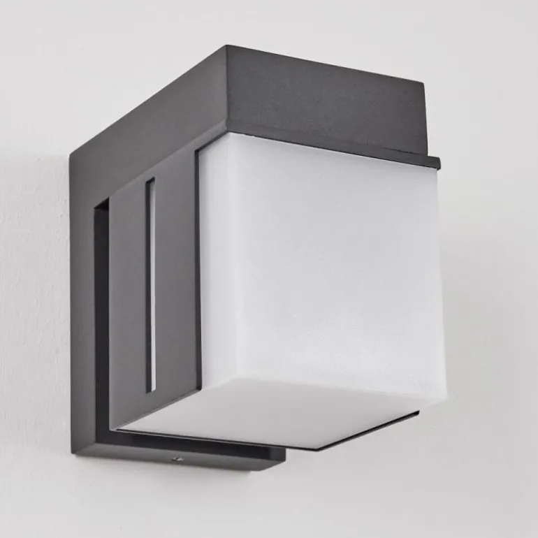 Swanek Lampe murale d´extérieur, Applique murale LED Anthracite, 1 lumière