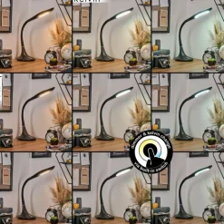 Toggerbo Lampe de bureau, Lampe à poser, Liseuse LED Noir, 1 lumière