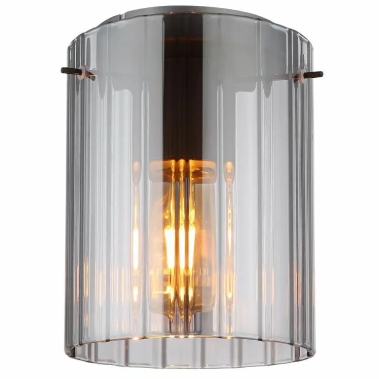 Tulivar Plafonnier Luminaires Globo Lighting Gris, 1 lumière