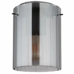Tulivar Plafonnier Luminaires Globo Lighting Gris, 1 lumière