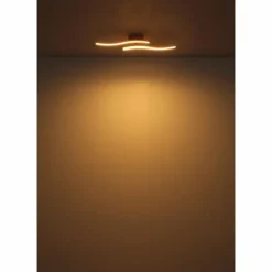 Tyler Plafonnier Luminaires Globo Lighting LED Rose, 1 lumière