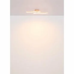 Tyler Plafonnier Luminaires Globo Lighting LED Rose, 1 lumière