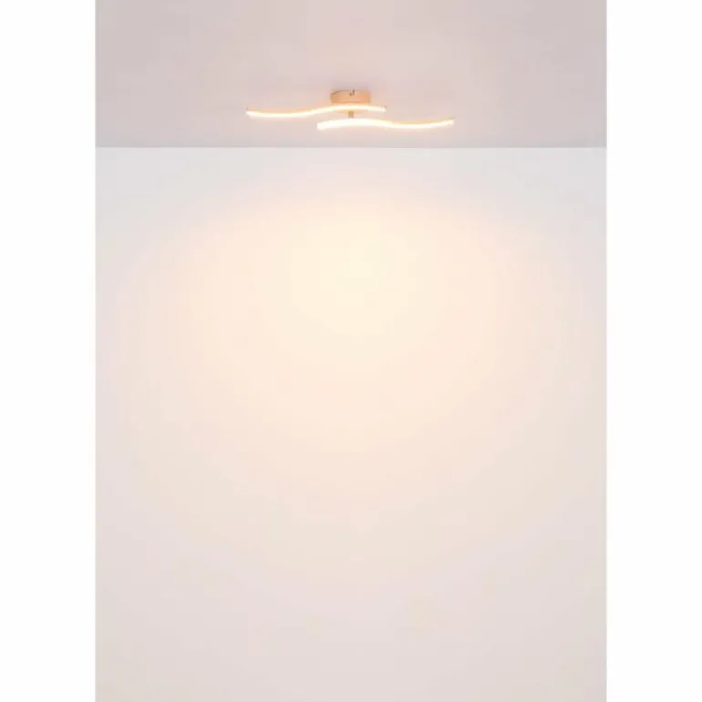 Tyler Plafonnier Luminaires Globo Lighting LED Rose, 1 lumière