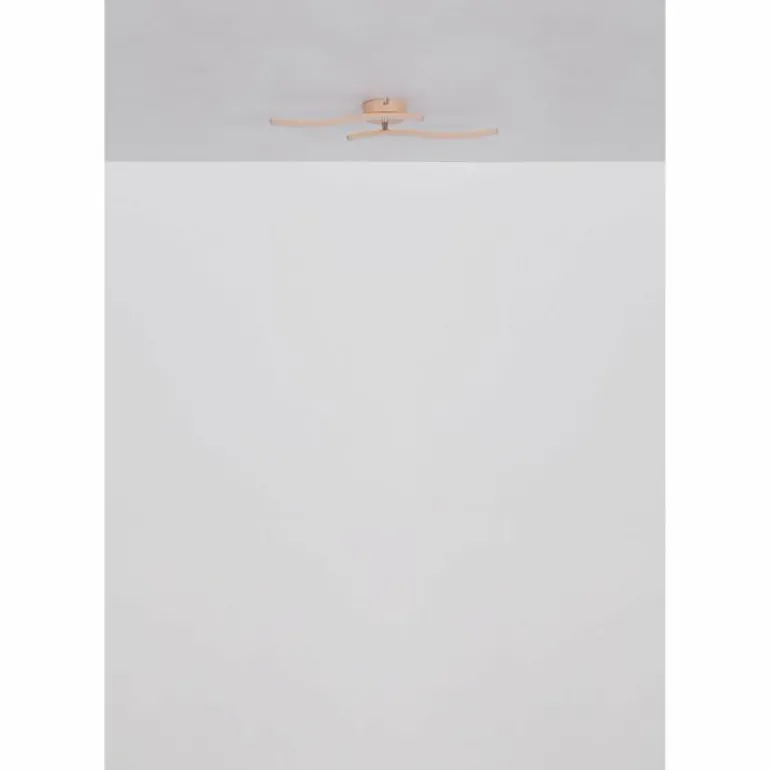 Tyler Plafonnier Luminaires Globo Lighting LED Rose, 1 lumière