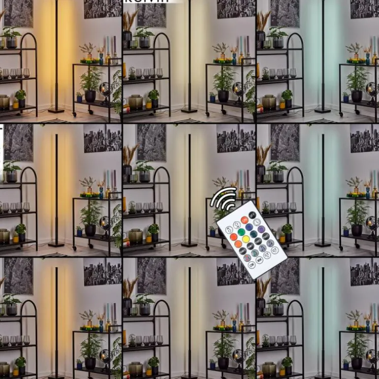 Uglestrup Lampadaire LED Noir, 1 lumière, Télécommandes, Changeur de couleurs