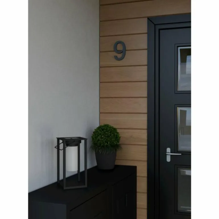 USIGNI Luminaire extérieur Luminaires Eglo LED Noir, 1 lumière