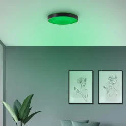 Vadin Plafonnier Luminaires Brilliant LED Noir, 1 lumière, Télécommandes