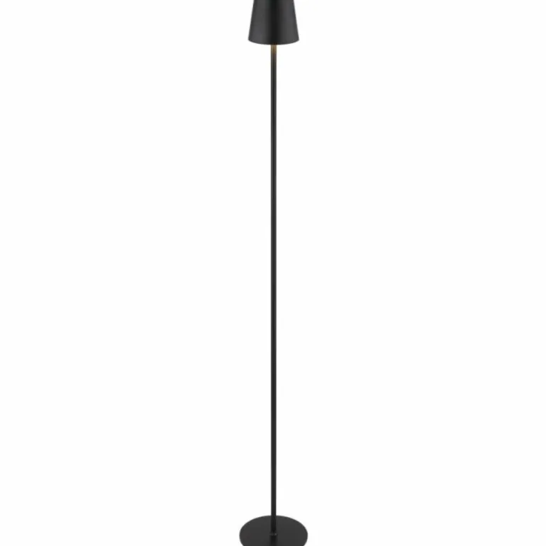 Vannie Lampadaire Luminaires Globo Lighting LED Noir, 1 lumière