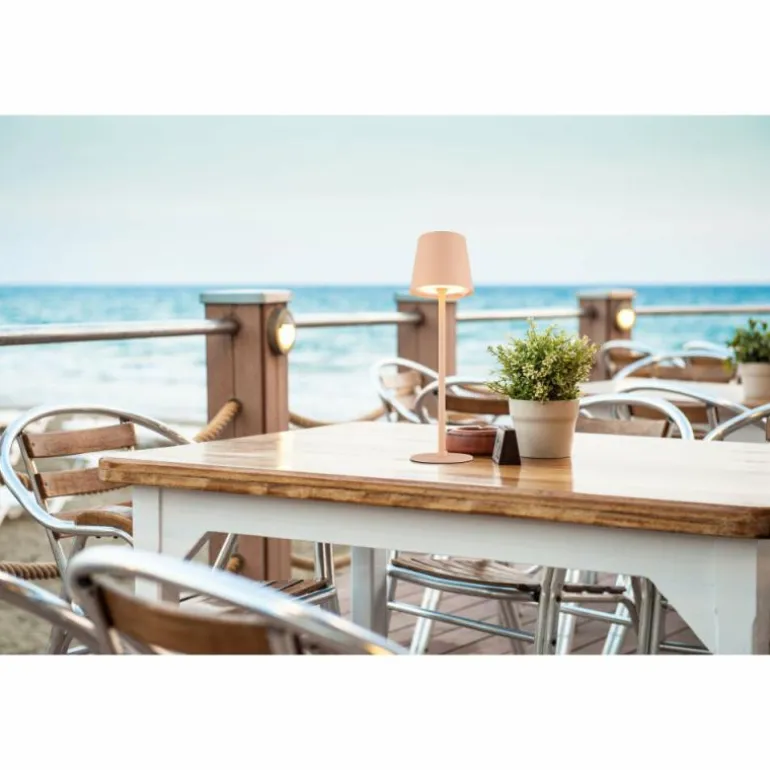 Vannie Lampe à poser Luminaires Globo Lighting LED Rose, 1 lumière