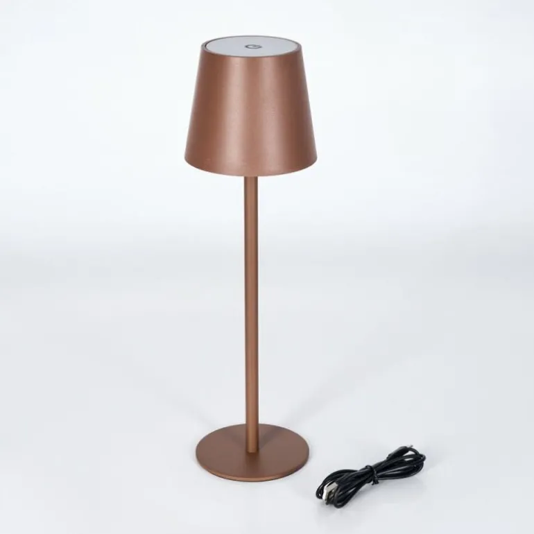 Vannie Lampe de table d'extérieur, Lampe à poser LED Brun, 1 lumière